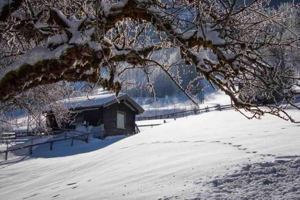 Вілла Kleine Alpenhuette In Lend 2024 Neben Der Salzach Екстер'єр фото